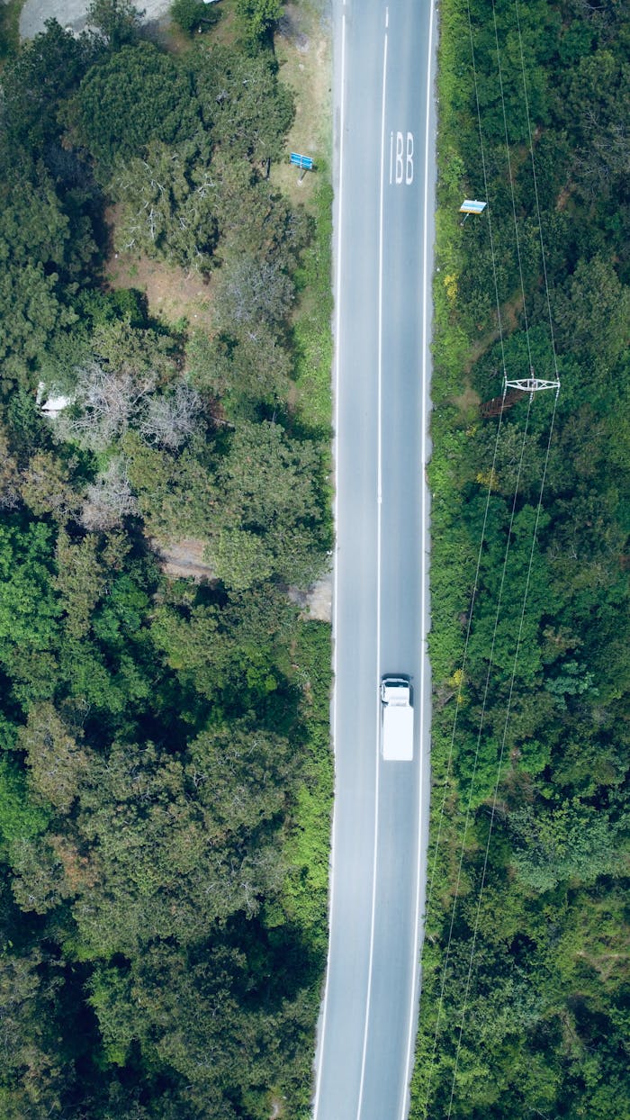 our-services-3 Drone shot of a truck driving through a forest road in Sarıyer, Istanbul.